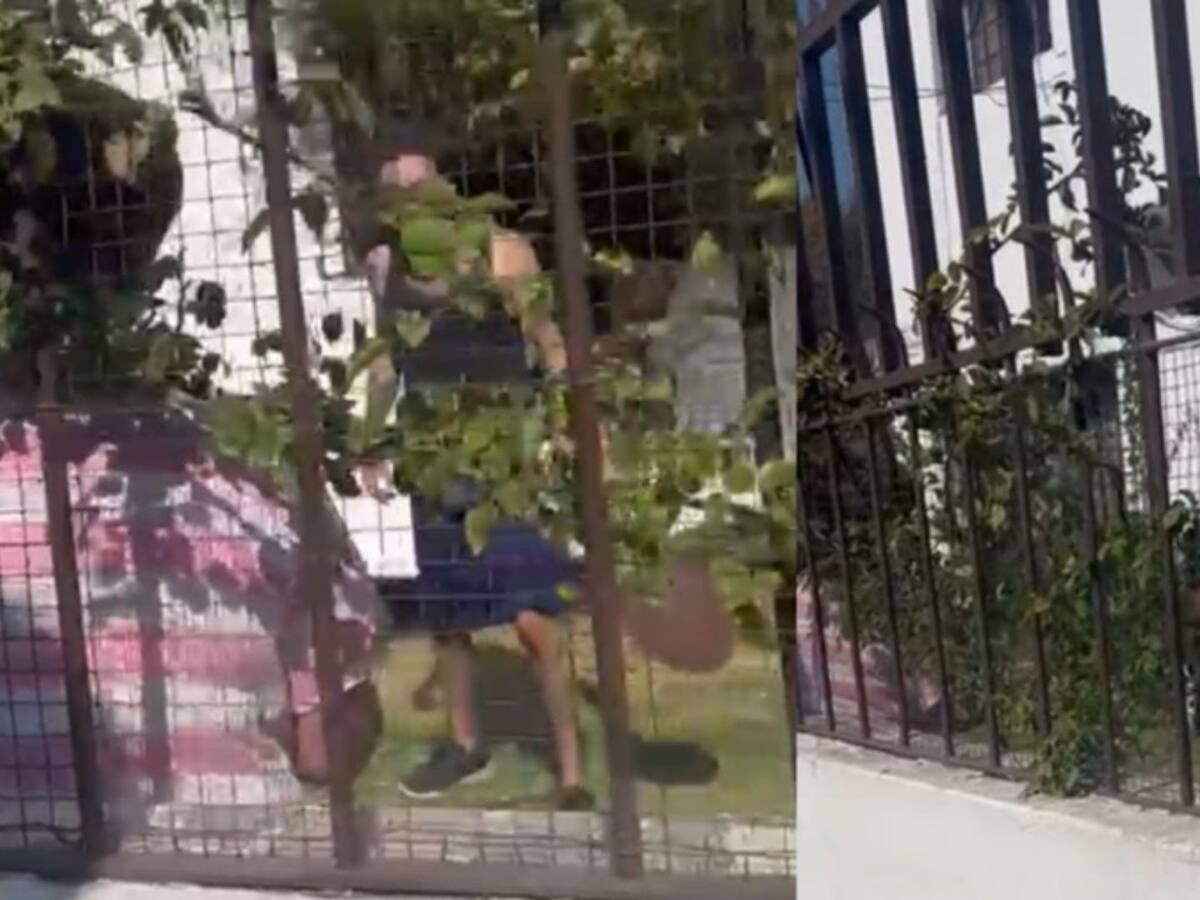 Carabineros detienen a sujeto en Ñuñoa que amenazó con «cortarle la cabeza» a su mamá