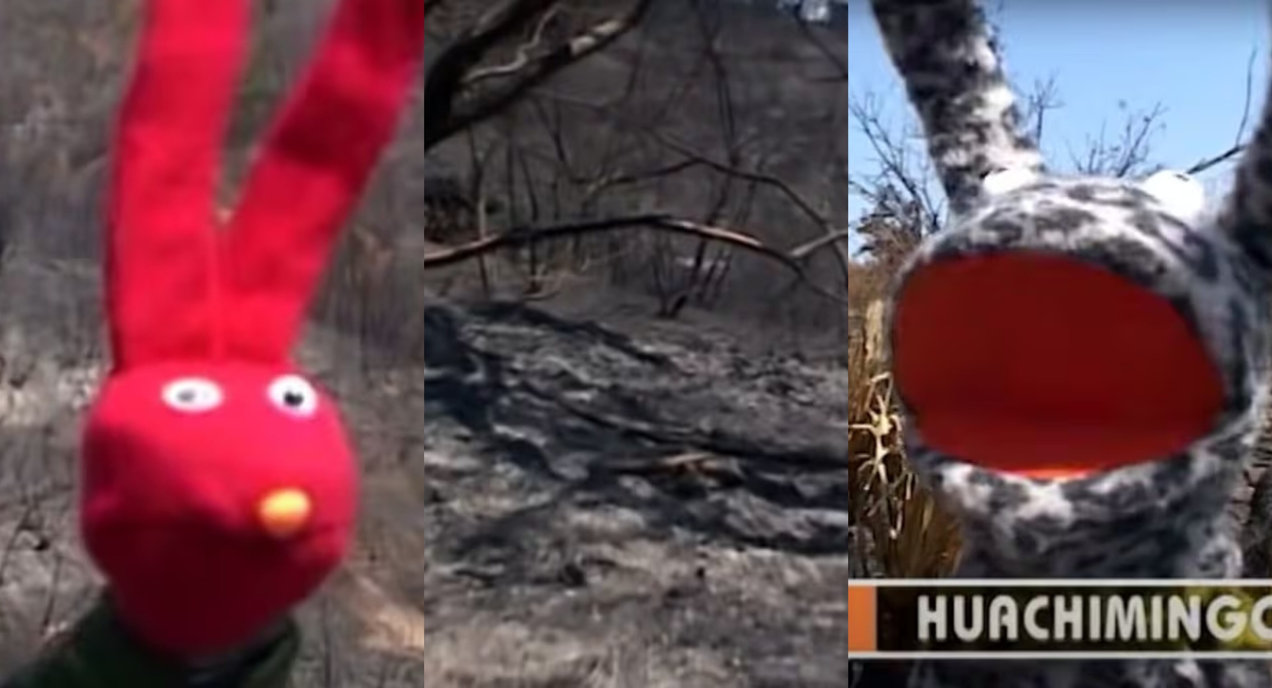 Capturas