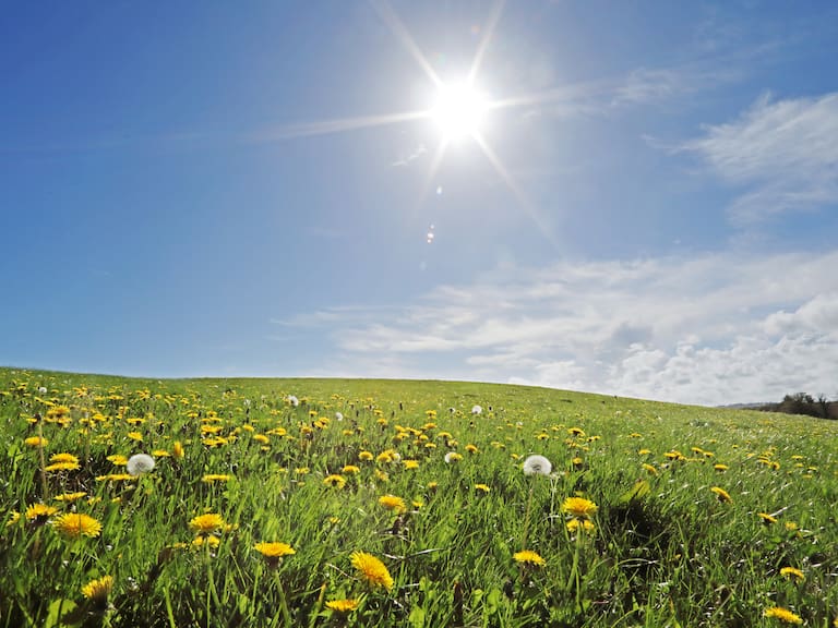 “En realidad la primavera deberíamos decir que empezó a mediados de agosto, y ya a fines de octubre empieza el verano”