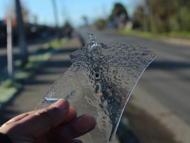 Heladas, ola de frío