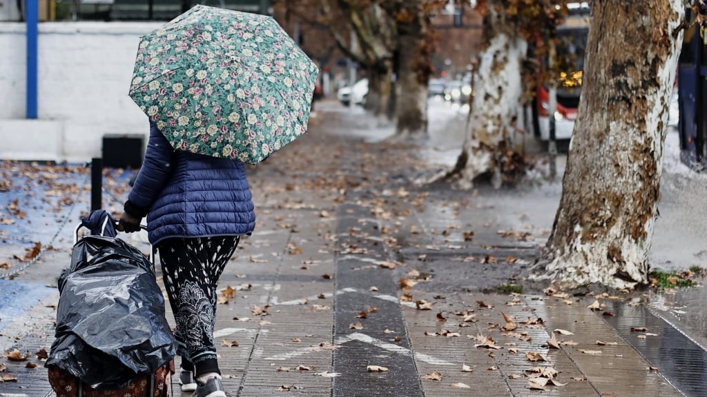 Director regional de Onemi y el balance de las lluvias en la RM: "Más de 117 árboles cayeron por los fuertes vientos"