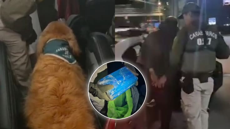 Perro de Carabineros encuentra más de dos kilos de cocaína ocultos en un bus que transitaba por la Ruta 5 Sur