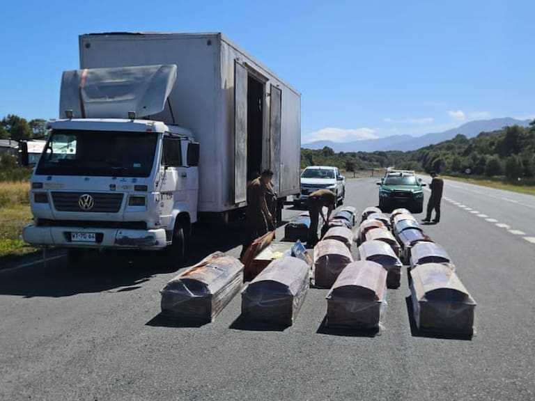 Descubren droga oculta en urnas durante control vehicular en la Carretera Austral