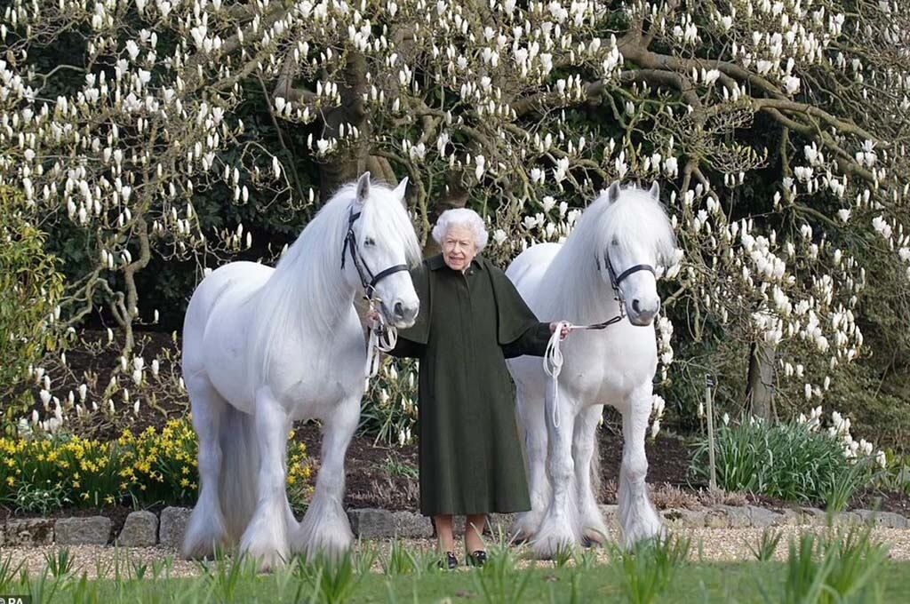 Créditos: Royal Windsor Horse Show.