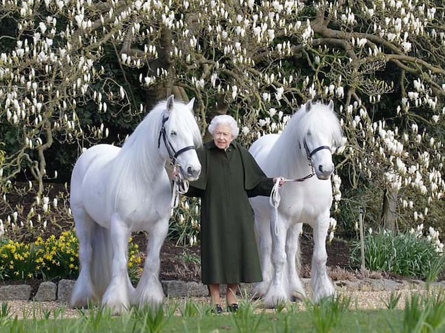 Créditos: Royal Windsor Horse Show.