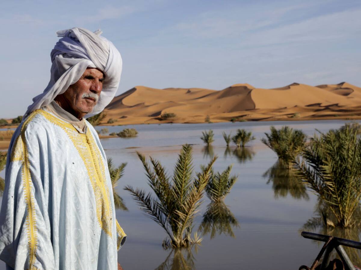 Lluvias provocan impactante cambio en el desierto del Sahara