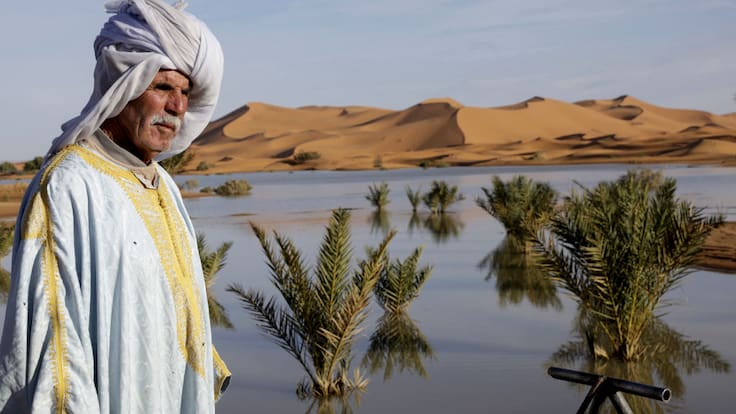 Lluvias provocan impactante cambio en el desierto del Sahara