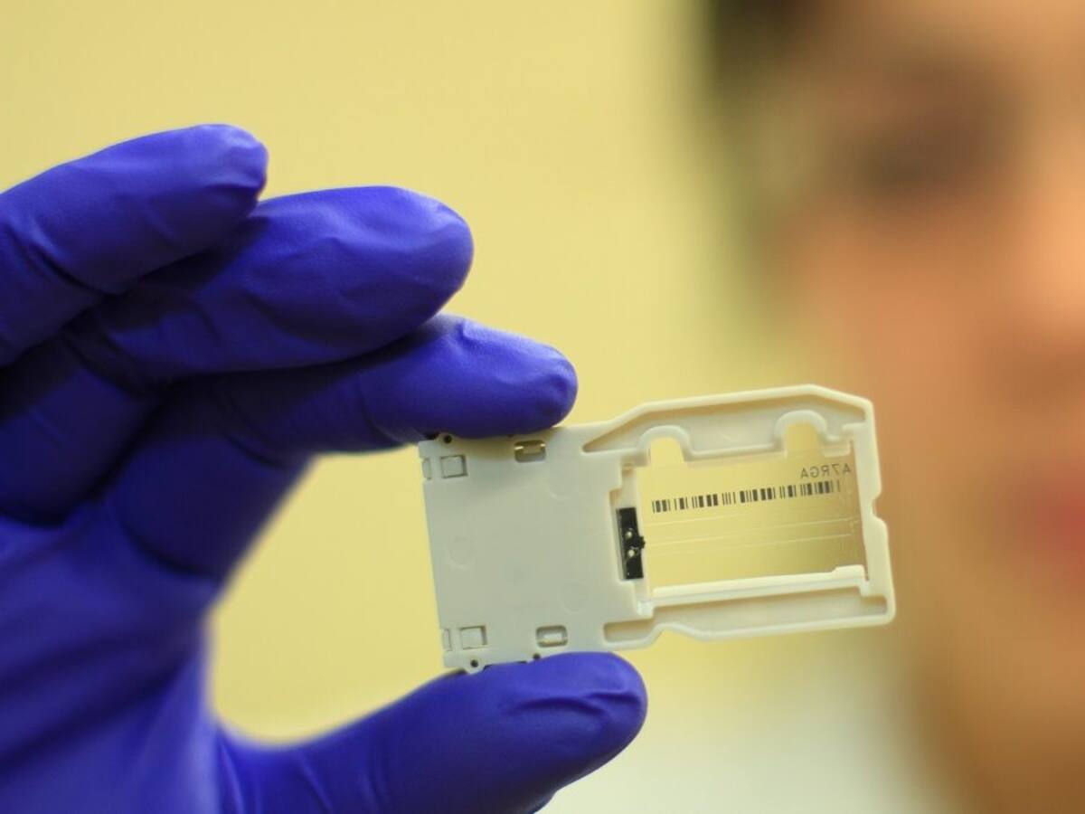 «Es conocer todas sus letras»: Bióloga chilena explicó cómo se logró secuenciar el genoma de la variante británica del coronavirus