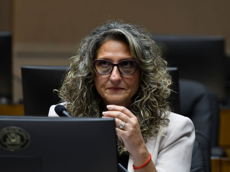 Ana Victoria Quintana, subsecretaria de Prevención del Delito