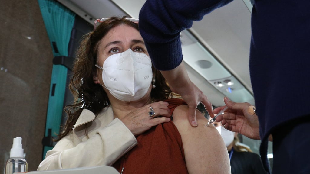 Ministra de Salud, María Begoña Yarza