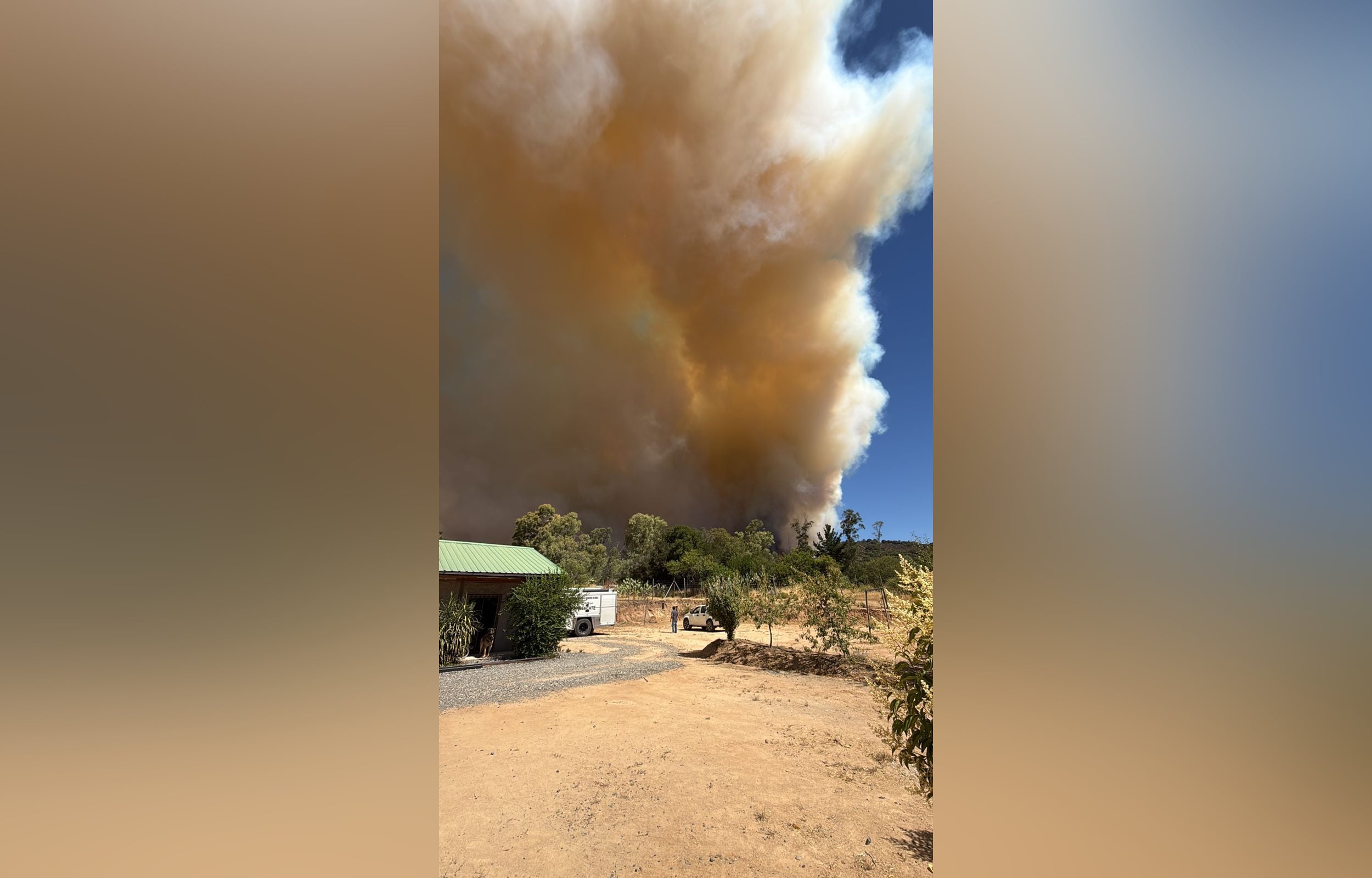 Incendio forestal cerro Maule