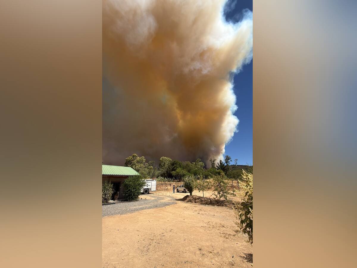 Incendio forestal obliga a Senapred solicitar la evacuación de seis sectores de comuna del Maule y activar Alerta Roja