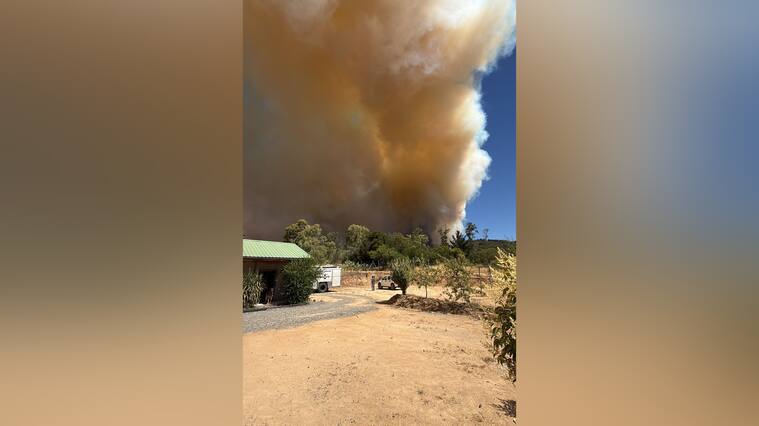 Incendio forestal cerro Maule