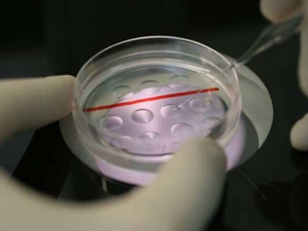 Dr. Raúl Sánchez y nuevo método de reproducción asistida: «Nunca se ha hablado que los hombres tienen que preservar la fertilidad»