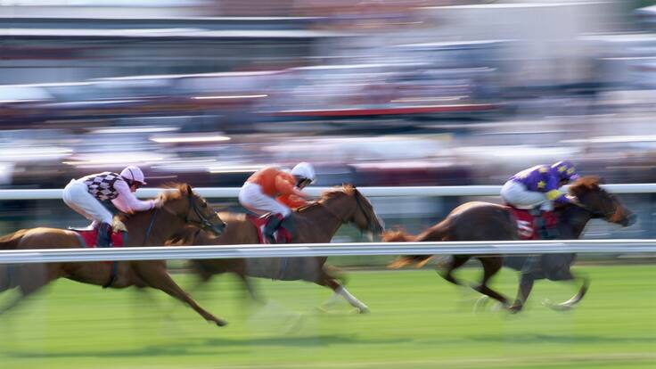Detectan 16 caballos con anemia infecciosa equina en el Club Hípico de Santiago