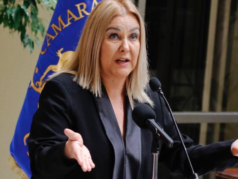 «Perdieron por andar paveando»: diputada Jiles se refiere a rechazo de reforma tributaria del Gobierno