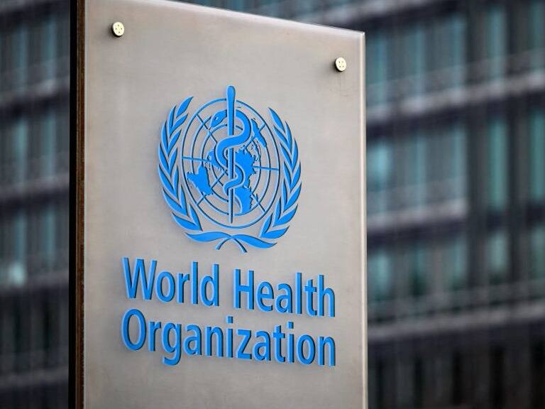 «Negativo y estigmatizante»: la OMS cambia nombre de la viruela del mono por «mpox»