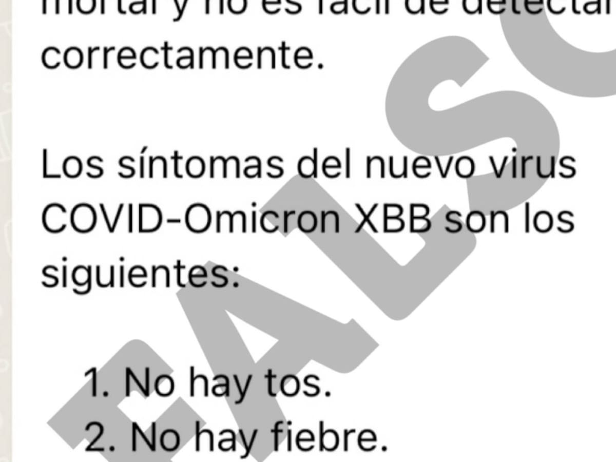 «No sugiere una mayor gravedad»: Minsal desmiente información viral sobre variante XBB del COVID-19