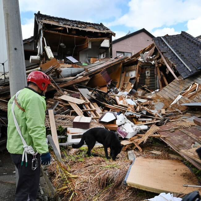 Rescatistas ayudados por perros buscan personas entre los escombros de las viviendas en la localidad de Wajima de Japón, luego del terremoto.