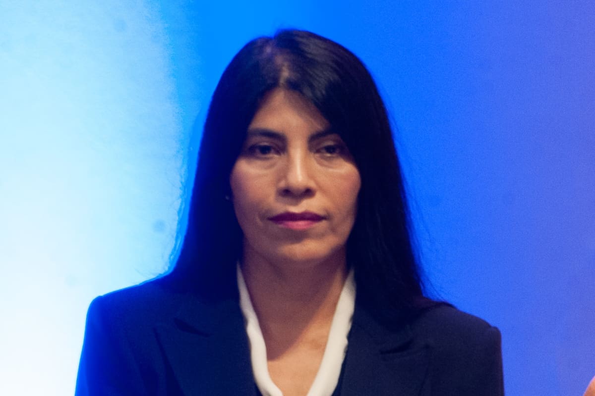 Ministra de Ciencia defiende cambio a Becas Chile: “Priorizar no es decidir qué conocimiento importa y cuál no”