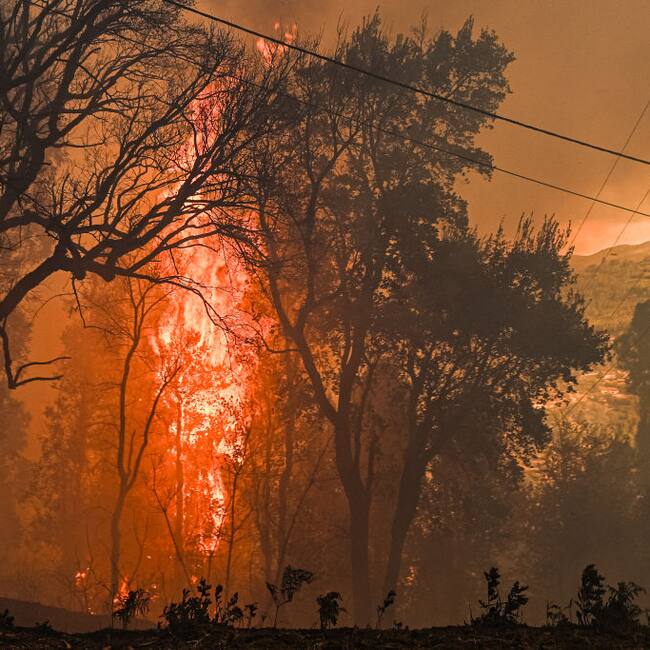 El fuego consume los árboles en la localidad de Ancede del municipio Baiao en Portugal