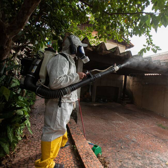 Un trabajador fumiga un barrio de Sao Paulo en Brasil contra el mosquito que provoca el dengue.