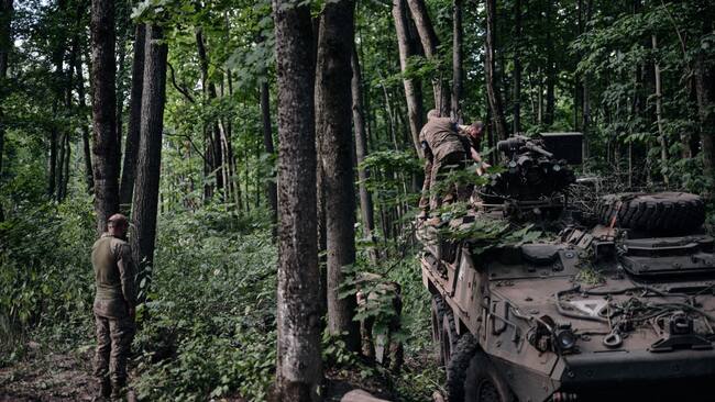 Soldados de Ucrania junto a un blindado estadounidense protegen la retaguardia de los militares que avanzan en la ofensiva en la región de Kursk en Rusia.