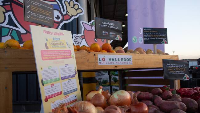 Presidente nacional de Confederación de Ferias Libres de Chile comenta medidas en Lo Valledor: “En Sanhattan yo voy y me piden el carnet”